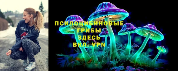 ПСИЛОЦИБИНОВЫЕ ГРИБЫ Абинск